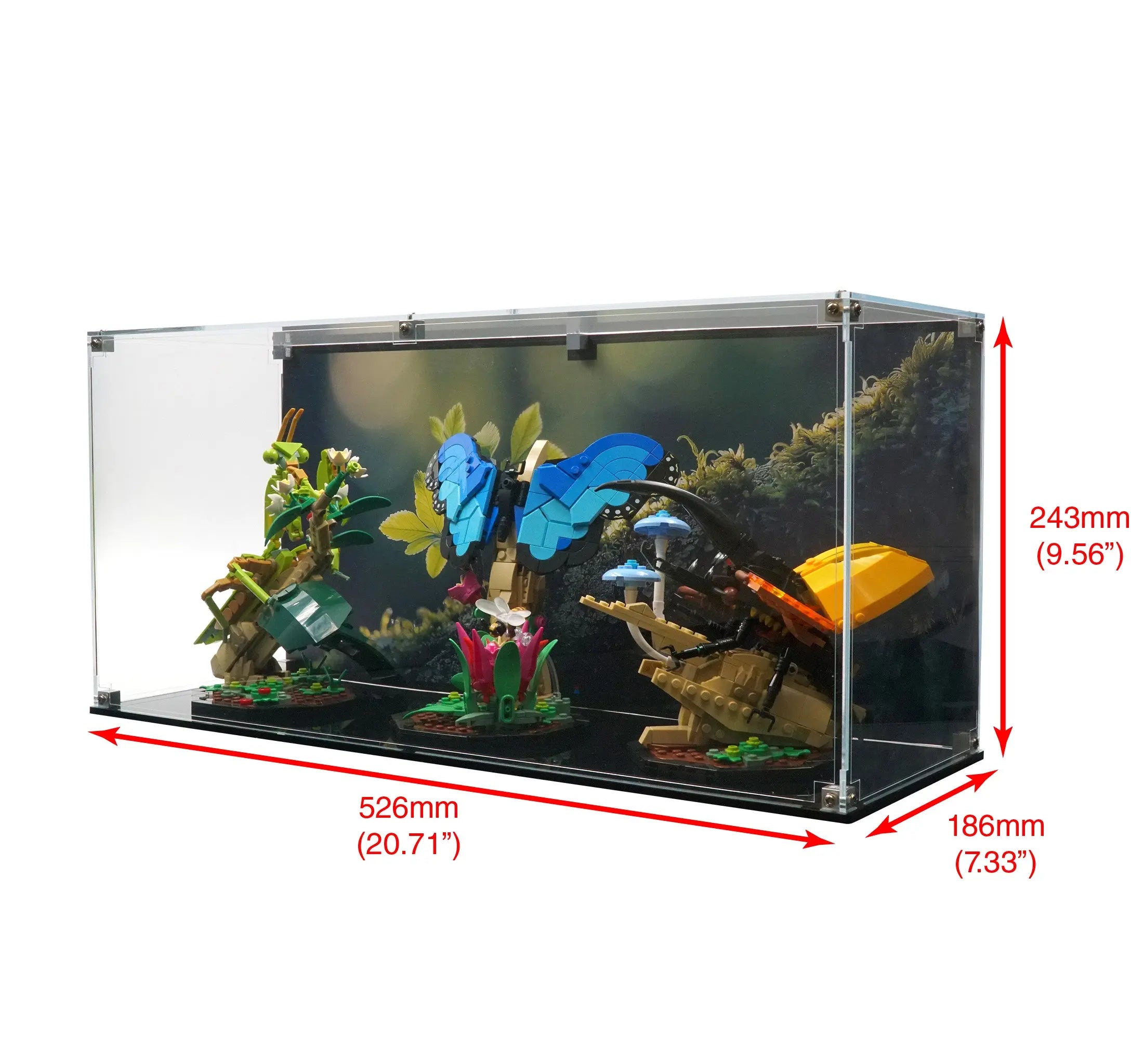 Display Case for 21342 - The Insect Collection – Brickcessories
