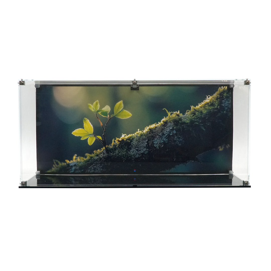 Display Case for 21342 - The Insect Collection