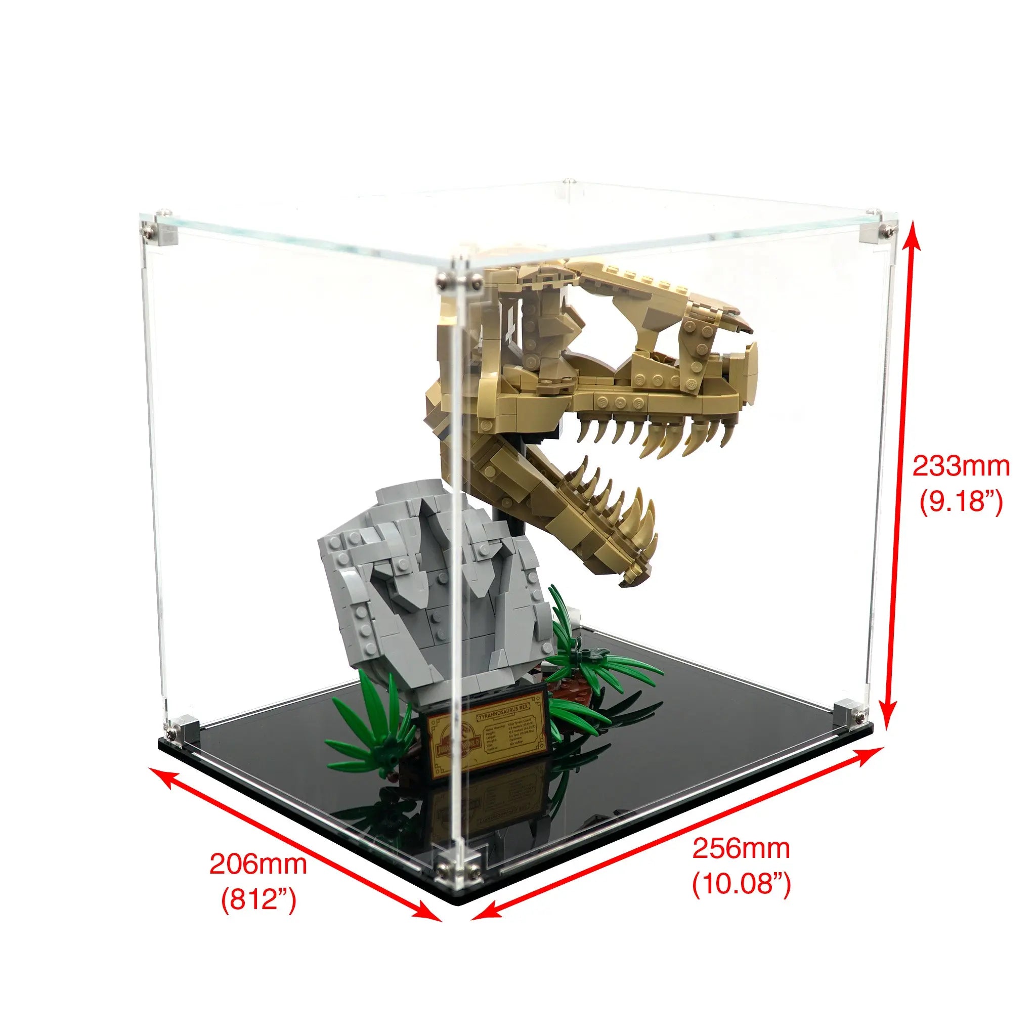 Display Case for 76964 - Dinosaur Fossils: T. rex Skull