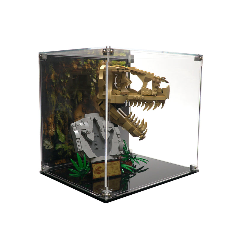 Display Case for 76964 - Dinosaur Fossils: T. rex Skull