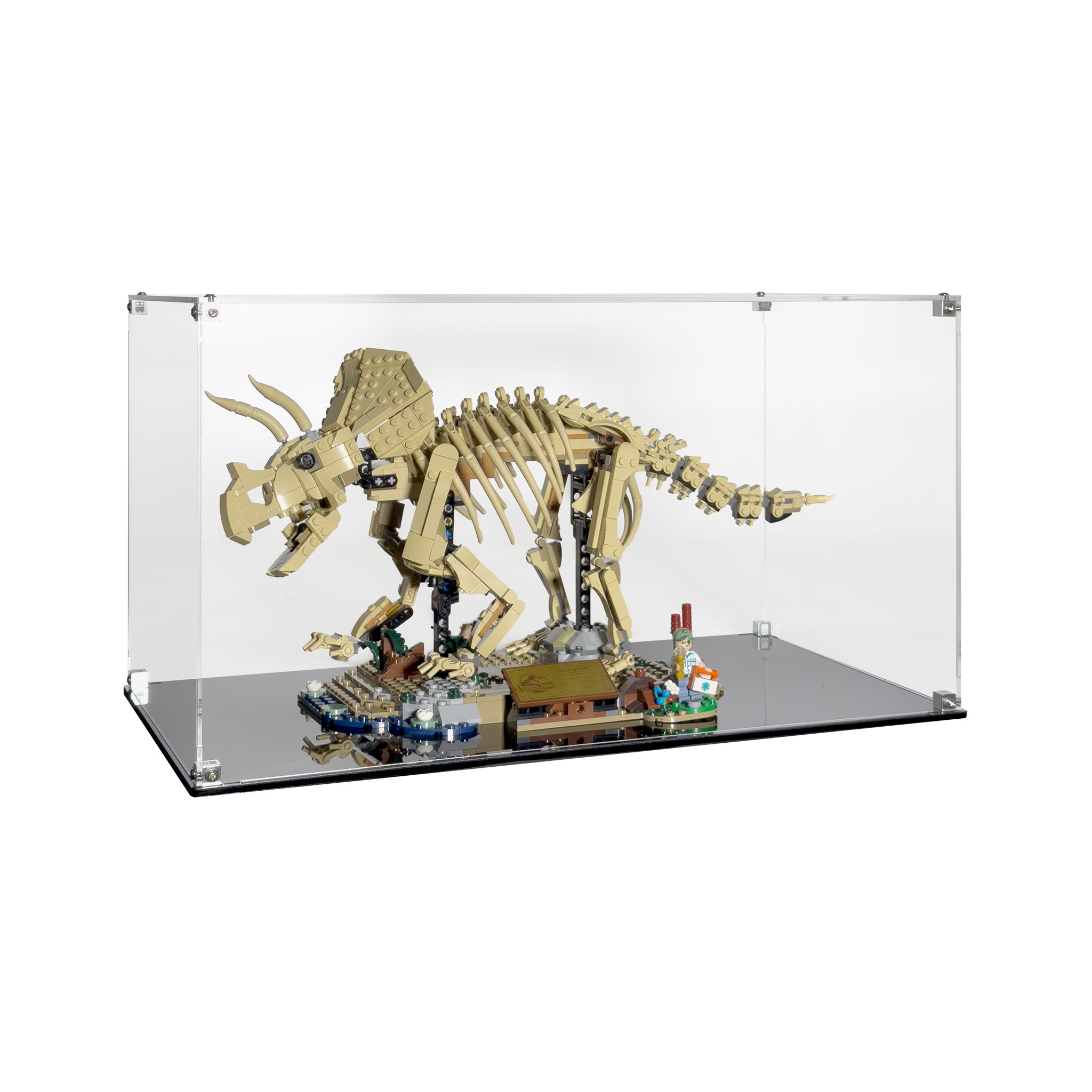 Display Case for LEGO 77985 Dinosaur Fossils: Triceratops
