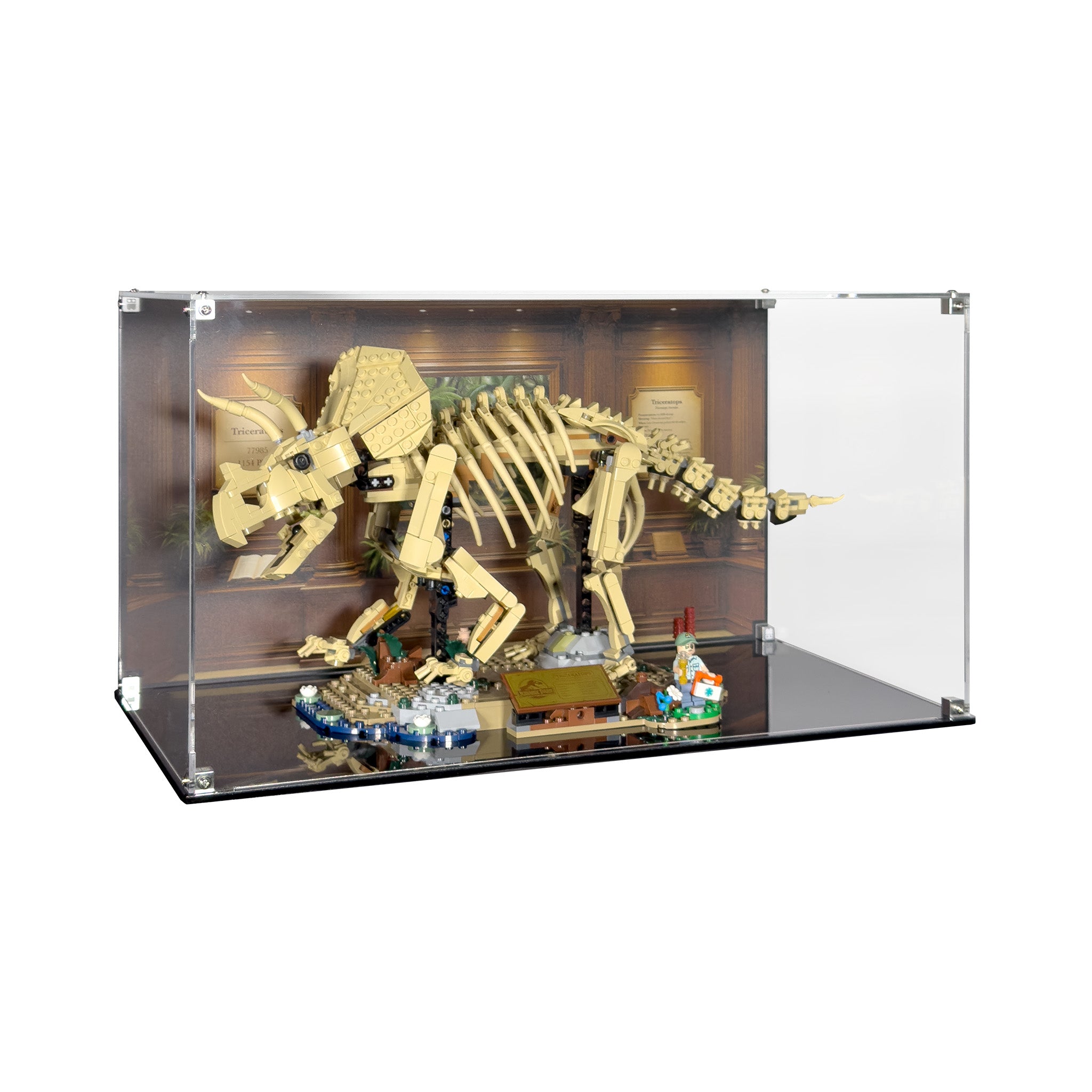 New Releases