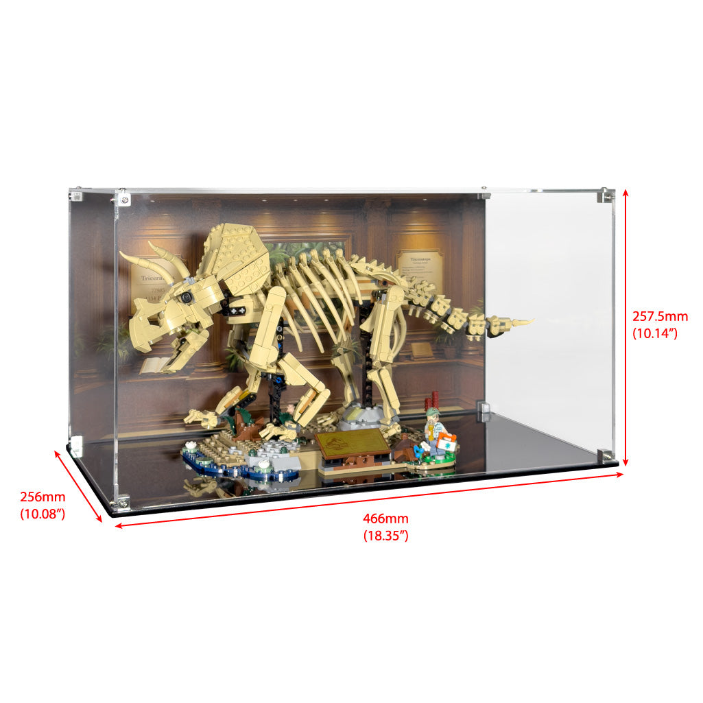 Display Case for LEGO Jurassic World Dinosaur Fossils: Triceratops (77985)
