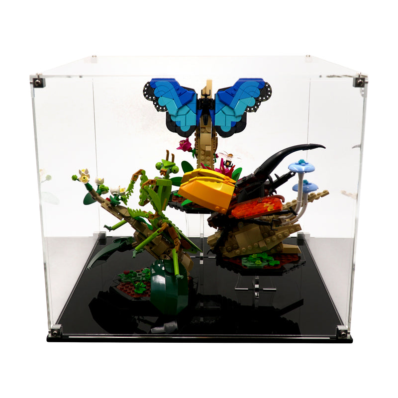 Display Case for 21342 - The Insect Collection with Stand