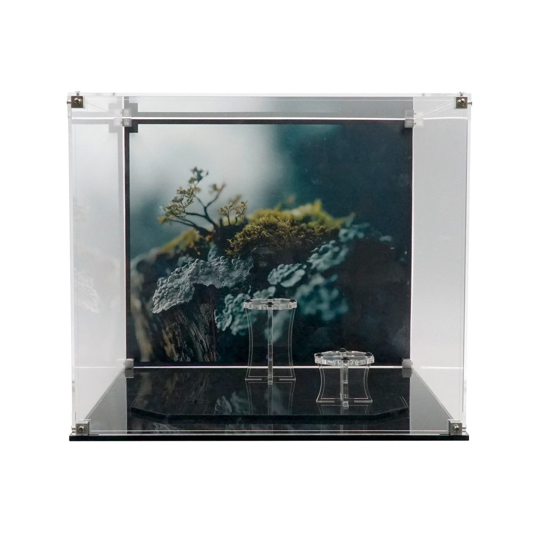 Display Case for 21342 - The Insect Collection with Stand