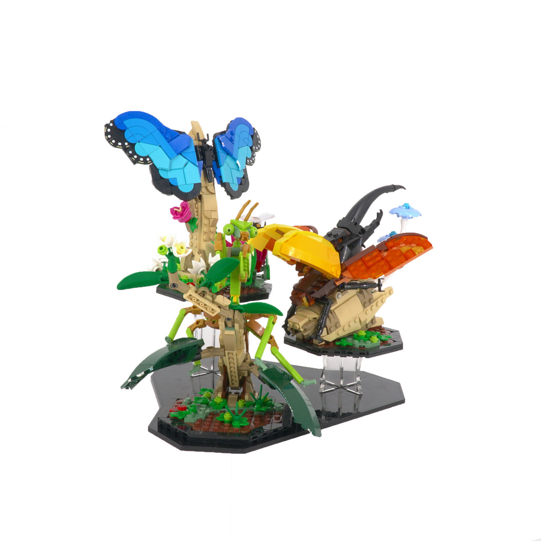 Display Stand for 21342 - The Insect Collection