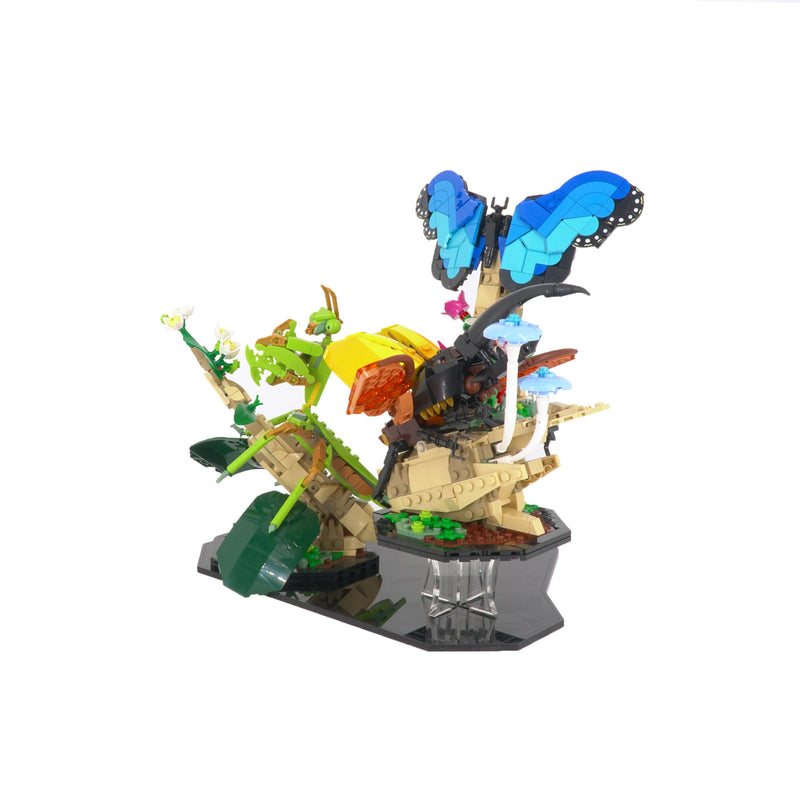 Display Stand for 21342 - The Insect Collection